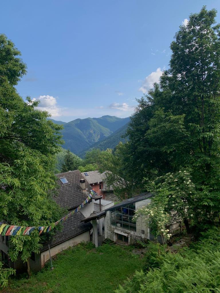 Secret Mountain Retreat Valle Cannobina Orasso المظهر الخارجي الصورة
