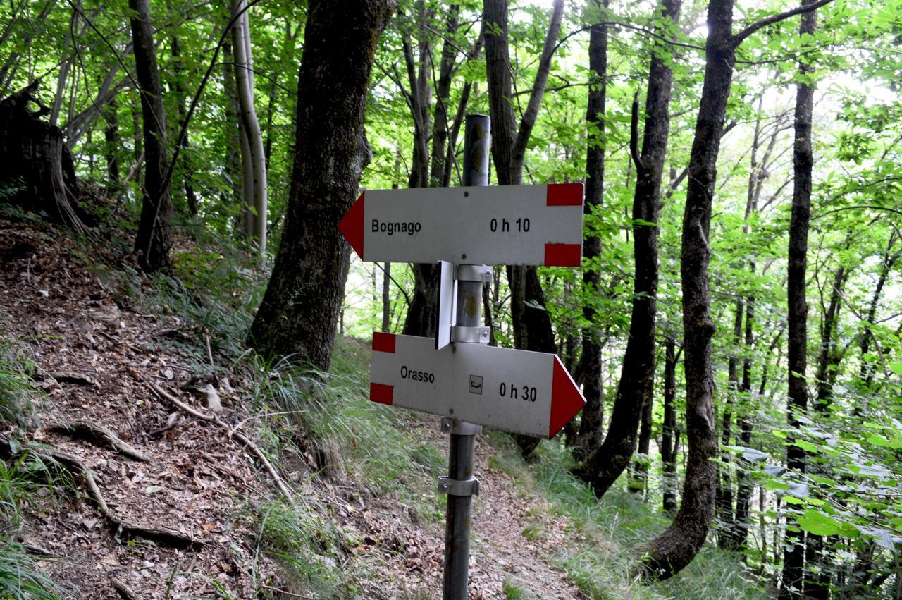 Secret Mountain Retreat Valle Cannobina Orasso المظهر الخارجي الصورة